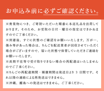 【2025年先行予約】八ヶ岳南麓自然の恵み 極上早生ふじ3kg 田丸りんご園 りんご 山梨県産 ふじ  フルーツ 果物 果実 贈答 ギフト プレゼント 山梨 八ヶ岳南麓 北杜市 明野