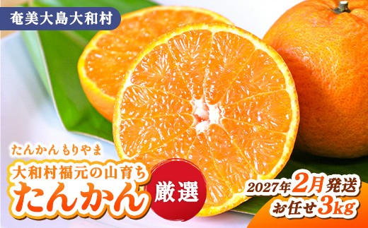 【予約  2027年2月下旬頃～出荷予定】  たんかん サイズおまかせ 計3kg 柑橘 タンカン 福元 山育ち 湯湾岳 フルーツ 旬の果物 産地直送 鹿児島県 奄美大島 大和村 たんかんもりやま