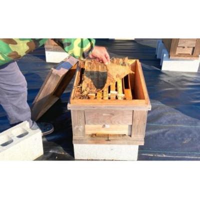 ふるさと納税 伊仙町 天然徳之島産はちみつ「センチュリーハニー」180g×2個 |  | 01