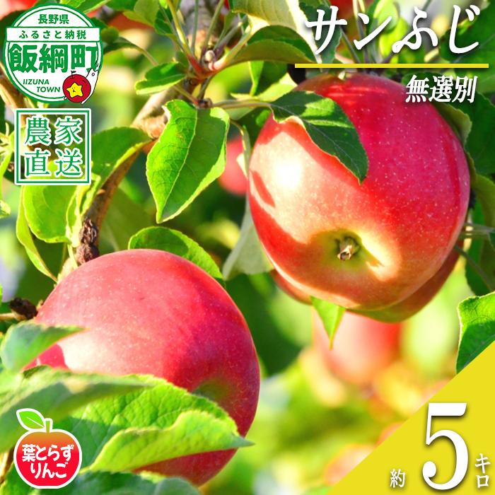 りんご サンふじ 葉とらず 無選別 5kg エバラ農園 減農薬栽培 沖縄県への配送不可 2026年11月中旬頃から2027年1月上旬頃まで順次発送予定 令和8年度収穫分 信州 果物 フルーツ リンゴ 林檎 長野 予約 農家直送 長野県 飯綱町 [1817]