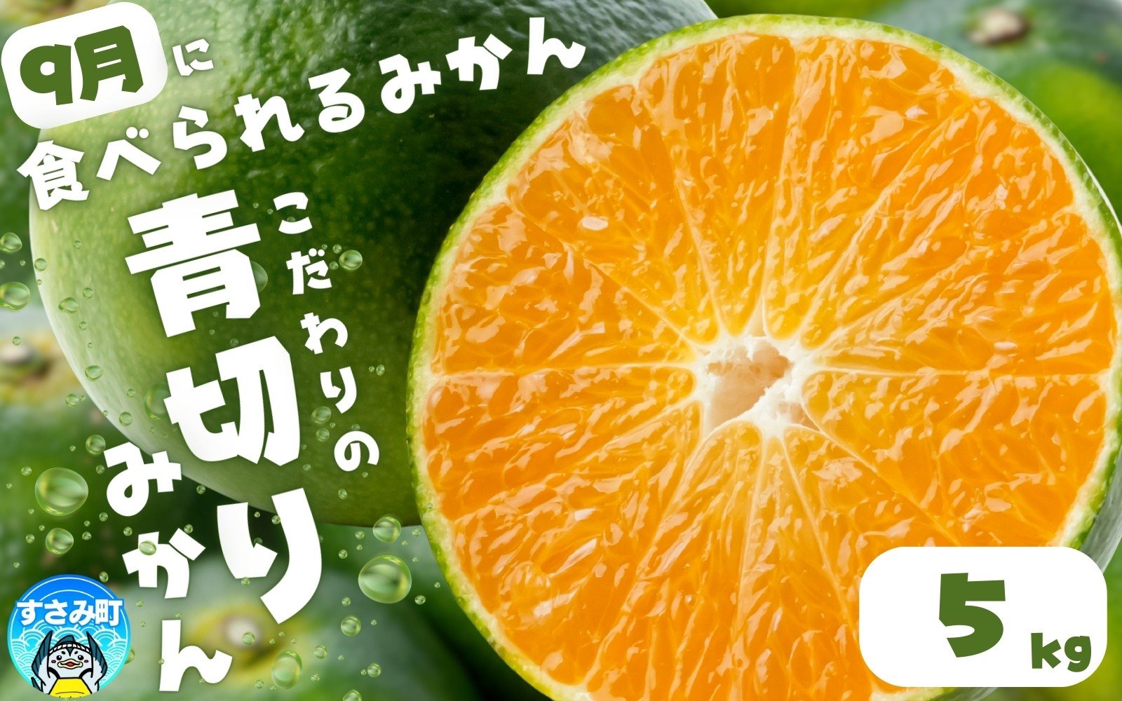 
            【2026年秋頃発送予約分】【農家直送】こだわりの青切りみかん 約5kg  有機質肥料100%　 サイズ混合　※2026年9月下旬より順次発送予定（お届け日指定不可）【nuk150C】
          