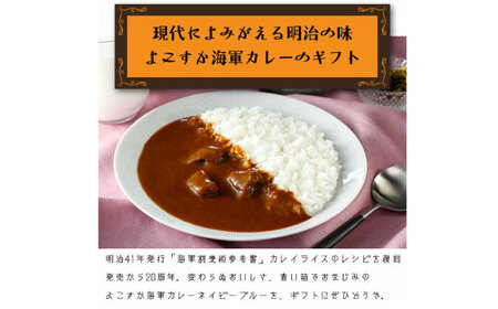よこすか海軍カレー ネイビーブルー 箱なし180g×20食セット カレー 海上自衛隊カレー 海軍 海軍カレー 軍艦 横須賀 自衛隊 神奈川 レトルト 非常食 保存食  【横須賀商工会議所 おもてなしギ