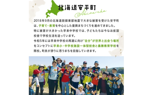 飛ぶようなフワっと食感!北海道安平町産　菊芋フリーズドライチップス　(プラチナの恵)　20g×5袋【1121652】