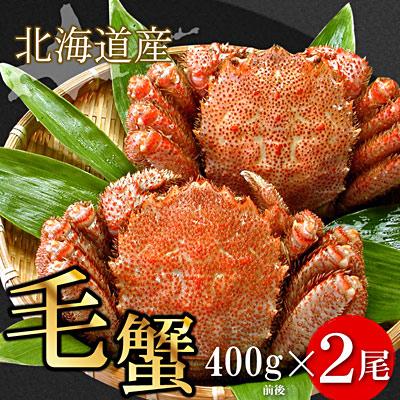 ふるさと納税 根室市 ボイル毛がに400g前後×2尾 F-56009