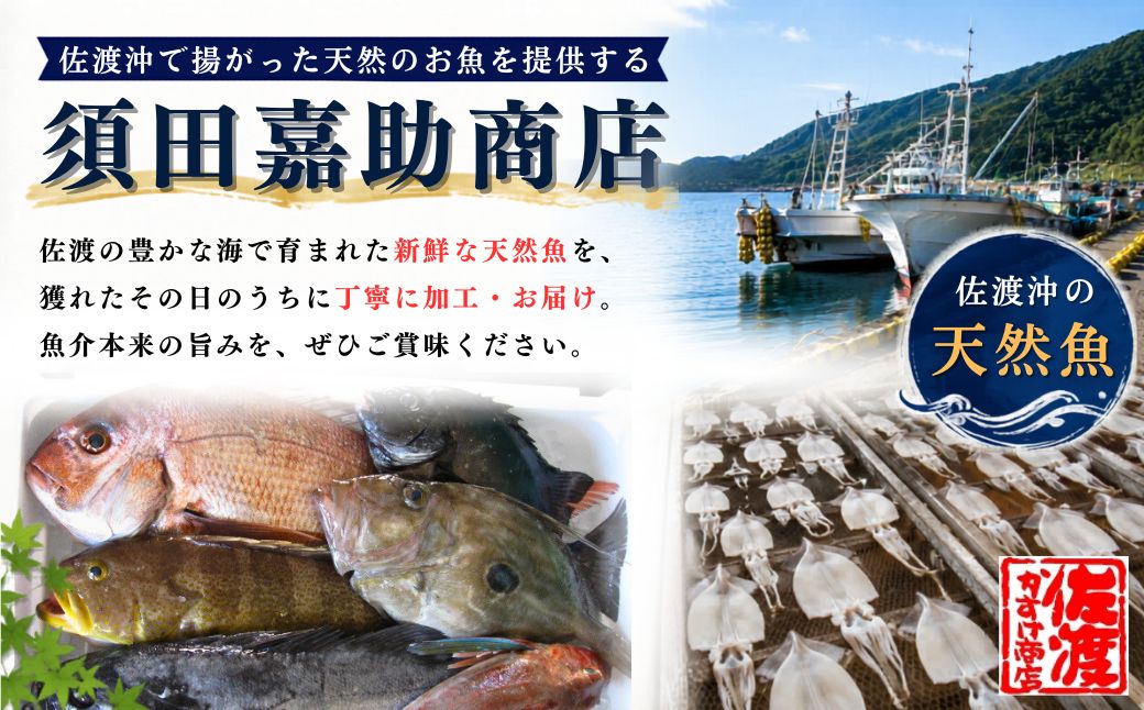 佐渡産 天然お任せ鮮魚セット 5kg