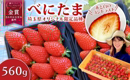 いちご べにたま 560g (280g×2P) 苺 イチゴ ストロベリー 期間限定 新鮮 朝どれ 採れたて 金賞受賞 オリジナル品種 ブランド苺 産地直送 ご当地 果物 くだもの フルーツ デザート 食品 冷蔵 送料無料 ふるさと納税 げんき農場 埼玉県 羽生市