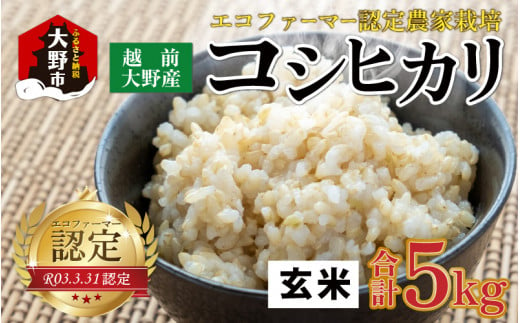 【先行予約】【令和6年産 新米】越前大野産 エコファーマー認定農家栽培 こしひかり5kg（玄米）