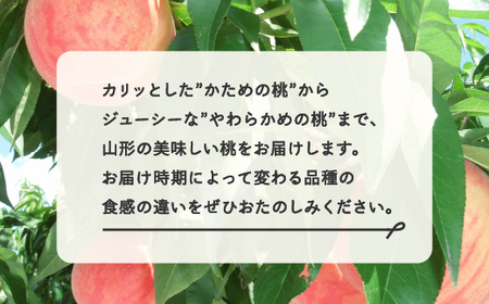 【先行予約】雅 フルーツ 定期便 山形 2025年産 令和7年産 さくらんぼ 佐藤錦 紅秀峰 桃 もも シャインマスカット ラ・フランス りんご サンふじ 全6回 フルーツ定期便 mm-ft6my