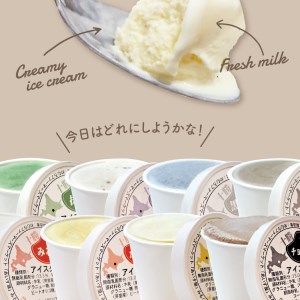 カップ アイスクリーム 95ml × 12 種セット アイス 北海道 