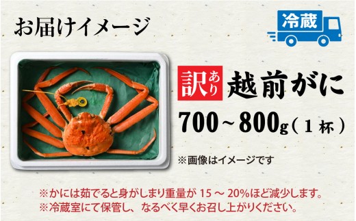 【先行予約】【訳あり】朝茹で越前がに 700g?800g（足折れ）2月～3月発送「2月上旬より順次発送」[D-065045]  / 福井県 福井 オス 雄 ズワイガニ ボイル 冷蔵 越前ガニ 越前がに 越前カニ ずわいがに ずわい蟹 かに カニ 蟹 茹で すがた 姿 わけあり 訳アリ