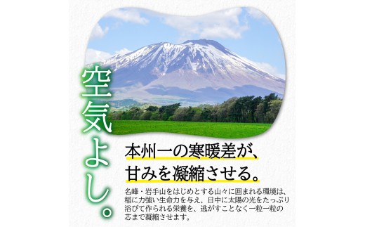 【令和7年産】10kg 無洗米 最短7営業日程度発送 ブランド米 こめ コメ お米 おこめ ライス 精米 人気 おすすめ 岩手県 盛岡市 岩手産 岩手県産 岩手 盛岡 北日本製袋 knsR7_M004
