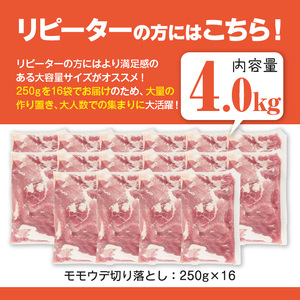 ＜2025年11月中に発送予定＞鹿児島県曽於市産 曽於ポーク切り落とし 計4.0kg(モモウデ切り落とし) 真空パック 豚肉 切り落とし【Rana】A812-11