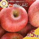 【ふるさと納税】《 先行予約 》【 訳あり 】 サンふじ 約5kg ( 配送時期が選べる 12月 1月) / 青森産 りんご 林檎 アップル 不揃い 規格外 常温保存 秋 旬 果物 くだもの フルーツ 国産 青森県 五所川原市