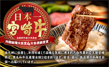 プレミアムシリーズ宮崎牛焼肉定期便 肉 牛 牛肉 焼肉