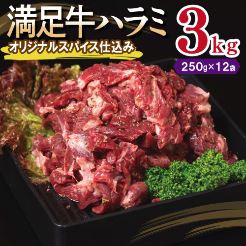 【満足牛ハラミ】オリジナルスパイス仕込み 合計3kg 【味付け ハラミ 小分け 焼くだけ 簡単調理 BBQ 牛肉 250g×12P】 099H3708