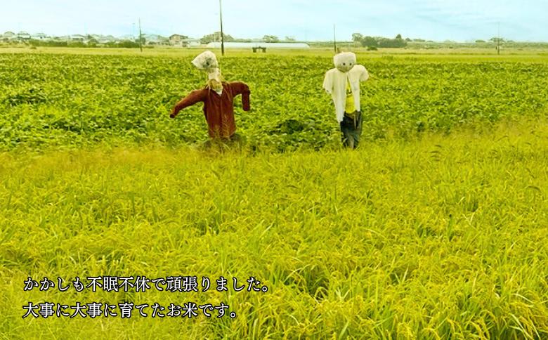 佐賀県大和産「さがびより」5kg×2袋 米 農家直送：B320-017