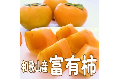 【0148-3】富有柿 5kg (18～24個) 和歌山産≪先行予約2025年10月下旬頃より順次発送分≫