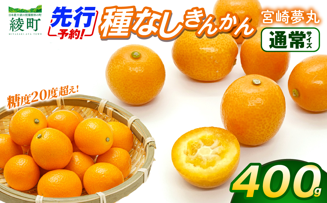 【先行予約】種なし きんかん「宮崎夢丸」 400g 数量限定 種無し 果物 フルーツ くだもの 柑橘 金柑 プレミア おすすめ パック ギフト 贈り物 贈答 おやつ スイーツ デザート 糖度が高い 常温 産地直送 宮崎県 綾町 送料無料【JA綾町】_A0114-2601