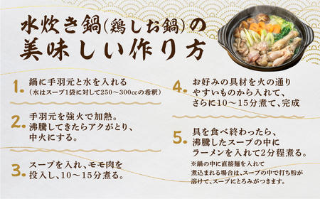 鍋 セット 水炊き鍋 3～4人前 鶏しお鍋 飛騨地鶏 スープ付 ラーメン付 モモ肉 手羽元 [Q2217wx]