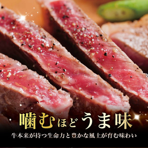 山形村短角牛ステーキ モモ 肩ロース 計1.3kgセット｜ステーキ 牛肉