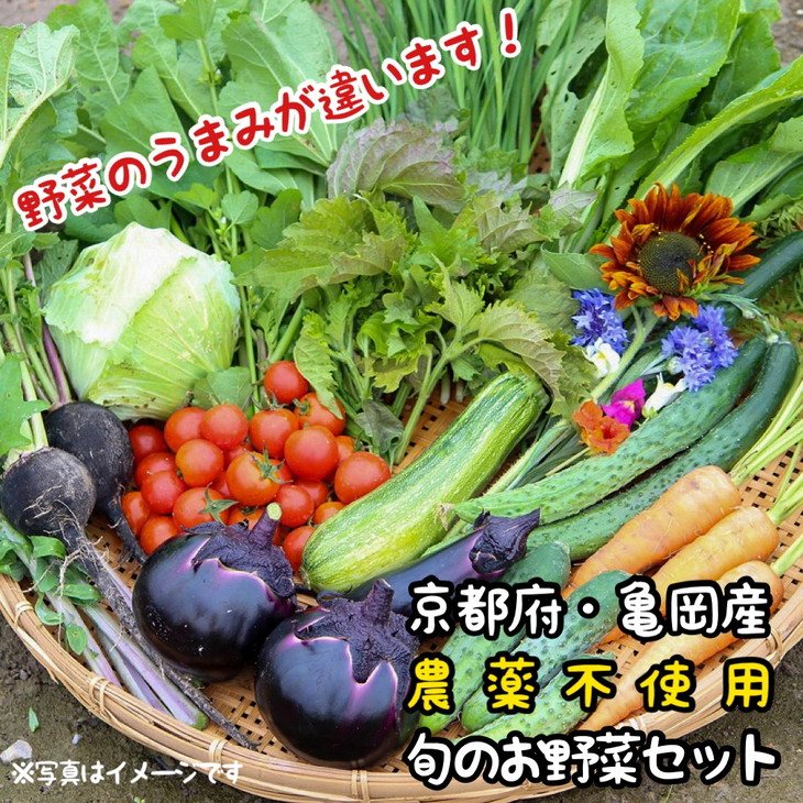 【12回定期便】京都府・亀岡産 無農薬・自然栽培で育てた体も心も喜ぶ、かたもとオーガニックファームの季節のお野菜セット 毎回10～20品目※離島への発送不可