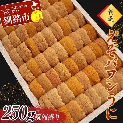 ふるさと納税 釧路市 高級・特選縦列盛えぞバフンうに250g ふるさと納税 うに 高級 ウニ 雲丹 F4F-3516