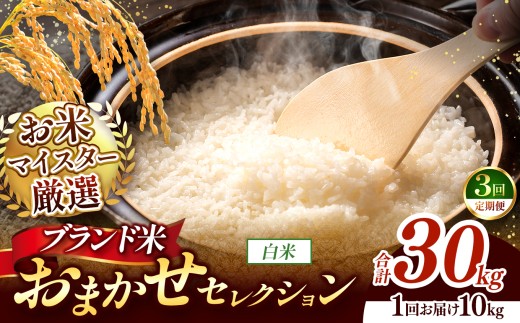 【 令和7年産 】おまかせ セレクション 【定期便3回】熊本県産 白米  ＜ひのひかり / 森のくまさん / くまさんの輝き ＞ 10kg  | 単一銘柄 米 単一米 お米 こめ 小分け 人気 コメ お米 5kg 10kg 15kg 20kg 25kg 30kg 定期便 3回 6回 12回 ブランド米 菊池川流域 家庭用 送料無料 熊本 くまもと 熊本県 和水 和水町 人気 ごはん