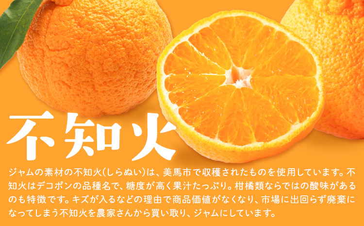 ジャム フルーツ 不知火 りんご しらぬひとりんごのゴロゴロジャム 1個 (1個250g) 有限会社美馬交流館《30日以内に出荷予定(土日祝除く)》徳島県 美馬市 送料無料 ジャム 果物 果肉 ごろご