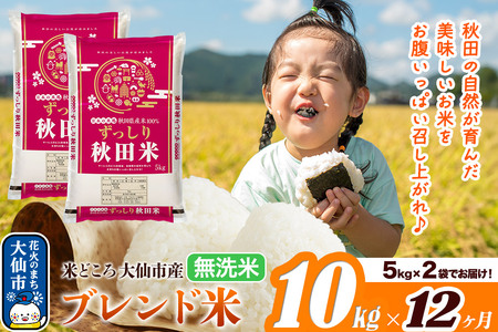 米 令和7年産《定期便12ヶ月》米どころ 秋田県大仙市産 ブレンド米【無洗米】10kg（5kg×2袋）