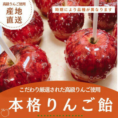 【ふるさと納税】 \最短7営業日以内発送/ 本格 りんご飴 5個 セット 高級 フルーツ 果物 贈答 ギフト プレゼント こだわり リンゴ 林檎 スイーツ お菓子 菓子 おやつ おつまみ 晩酌 デザート 飴 フルーツ飴 林檎飴 本格りんご飴 厳選 リンゴアメ フルーツアメ 千葉県 旭市