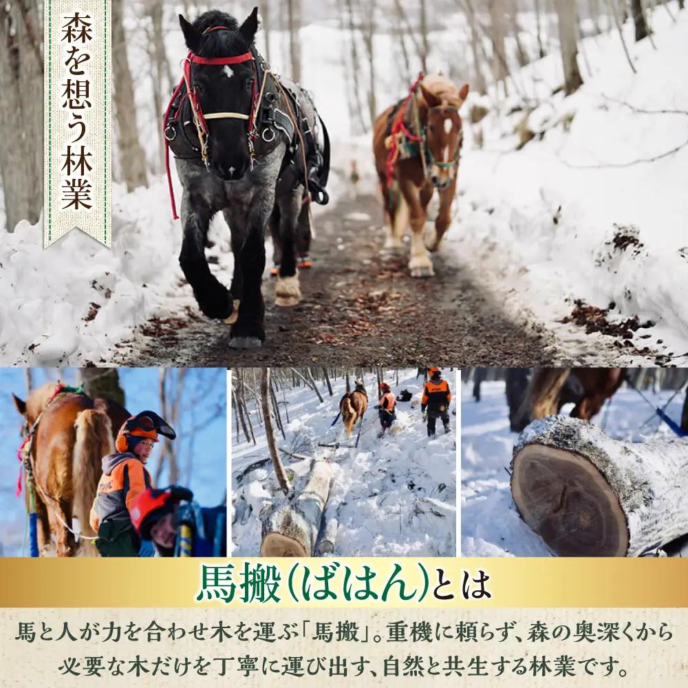 【全3回定期便】北海道 ナラ薪 100kg（20kg×5箱）【西埜馬搬】 薪 まき 薪ストーブ ストーブ キャンプ 北海道  [AXBE007]