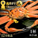 【ふるさと納税】≪浜茹で≫越前がに 大サイズ（生で約0.9〜1kg） × 1杯 約2人前 食べ応えあり！【雄 ズワイガニ 越前ガニ 姿 ボイル 冷蔵 かに カニ 蟹 福井県】【12月発送分】希望日指定可 備考欄に希望日をご記入ください [e49-x002_12]