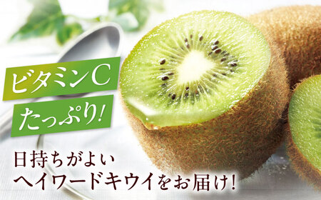 キウイフルーツ（20-27個）【12月中旬から順次発送】キウイフルーツ[AGBD004]