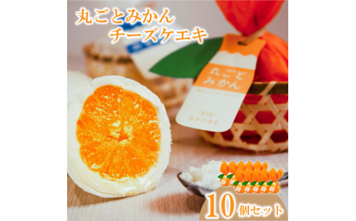 
丸ごとみかんチーズケエキ 10個セット チーズケーキ お菓子 スイーツ おやつ ケーキ チーズケーキ スイーツ ケーキ チーズケーキ 道後 愛媛県 松山市
