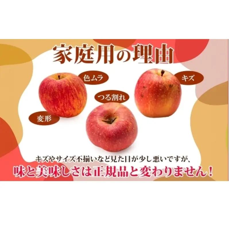りんご 早生ふじりんご 青森県産 家庭用早生ふじ りんご【約5kg】【9〜10月発送】
