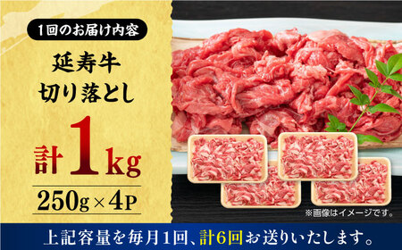 【6回定期便】熊本県産 延寿牛 あか牛 切り落とし 約 250g×4P【有限会社 九州食肉産業】[ZDQ119]