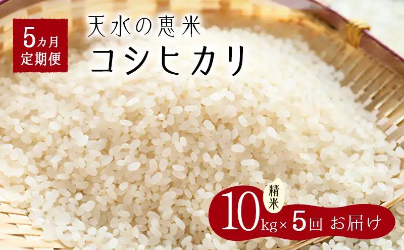 コシヒカリ天水の恵米白米 埼玉県産 コシヒカリ【50kg10kg×5回】【定期便】