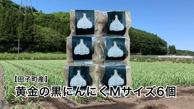 
                  丸美農園 田子町産【遠赤外線熟成】黄金の黒にんにく(Mサイズ)　6個
                