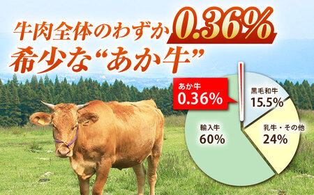 【全3回定期便】GIくまもとあか牛ロースステーキ　約500g【山鹿市（桜屋）】 熊本 特産 牛肉 特選 ロースステーキ あかうし [ZBO026]