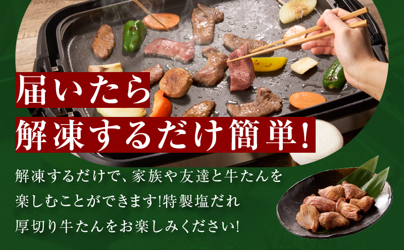 厚切り牛タン 900g 秘伝の塩だれ【300g×3P 牛肉 牛タン 牛たん 厚切り牛タン 焼肉 BBQ キャンプ アウトドア 焼くだけ 訳あり サイズ不揃い 小分け】 015B397