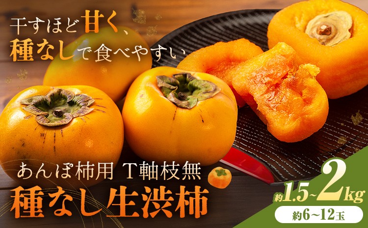 
            【2026年先行予約】柿 かき あんぽ柿用 T軸枝無 種なし 生渋柿 1.5~2kg ふるさと農園《10月中旬-11月上旬頃より発送予定(土日祝除く)》 和歌山県 日高町 贈り物 ギフト
          