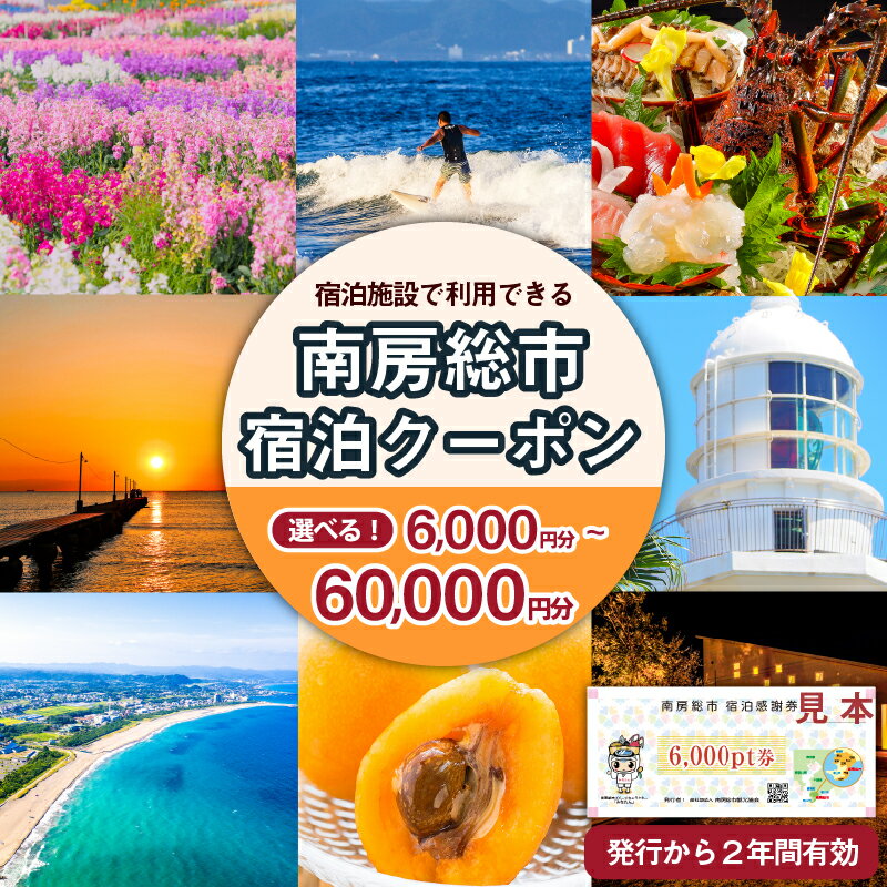 【ふるさと納税】【枚数が選べる】 南房総市 宿泊施設で利用できる 感謝券 旅行 チケット 関東 千葉 旅行券 宿泊券 商品券 リゾート 宿泊 海 サーフィン 自然 観光 あわび 海鮮 伊勢海老 海老 海産物 フルーツ 野菜 温泉 民宿 旅館 ホテル ギフト