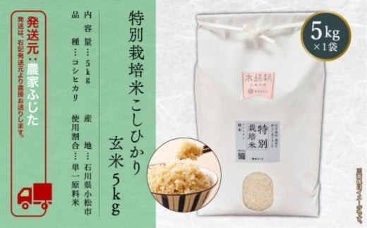 【先行予約】 令和8年産 特別栽培米 こしひかり 玄米 5kg ｜石川県 小松市 株式会社農家ふじた