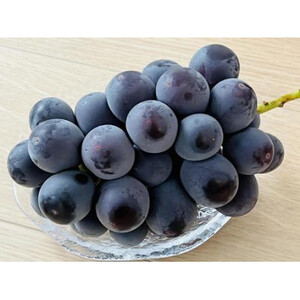 ＜2025年7月より順次発送予定＞ピオーネ　桐箱入り2房(県内共通返礼品:かすみがうら市産) (BR101)