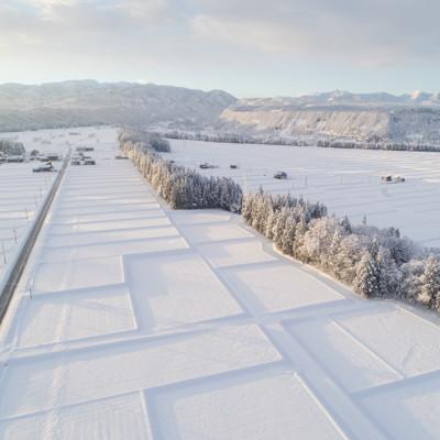 ふるさと納税 十日町市 【毎月定期便】魚沼産こだわり従来コシヒカリ  20kg(10kg×2袋)×3回 合計60kg全3回 |  | 02