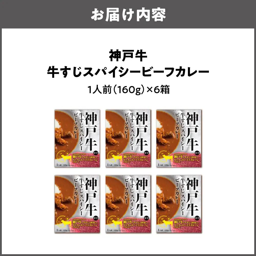 【 京阪百貨店厳選 】神戸牛すじスパイスカレー160ｇ×6食セット 牛すじカレー_OS048-0068-02