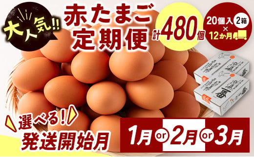 児湯養鶏自慢の卵 計480個（40個×12回） 12ヶ月定期便