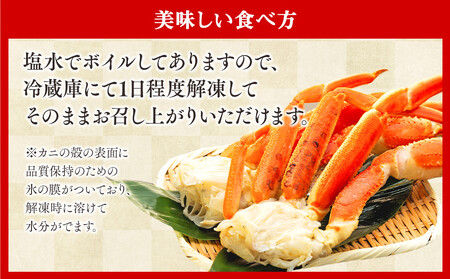 C01-F37 ボイル本ズワイガニ肩 1.3kg 特大3Lサイズ