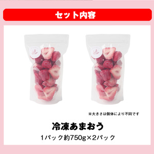 【冷凍】 いちご あまおう 限定  苺 イチゴ 合計1500g 約750g×2 ブランド ストロベリー 博多 大人気 限定品 高級 フルーツ 果物 くだもの 特別栽培 プレゼント 九州 福岡 宮若市 