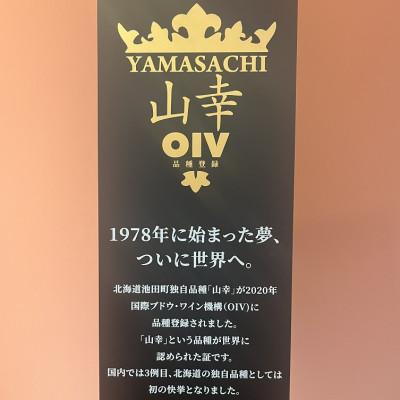 ふるさと納税 池田町 十勝ワイン 山幸 1本 |  | 01